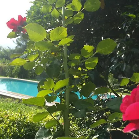 Case de vacanță Serenity *